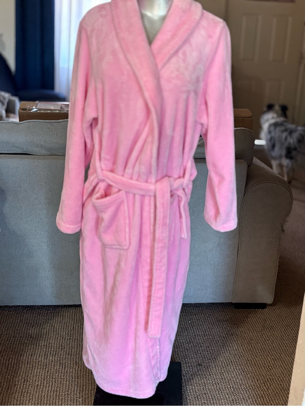 Women's Plush Shawl Collar Robe - Pink